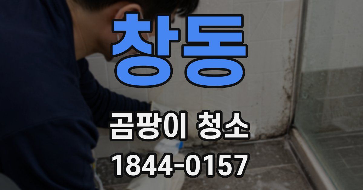 창동 곰팡이 청소