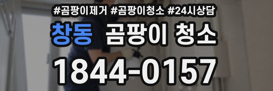 창동 곰팡이 청소
