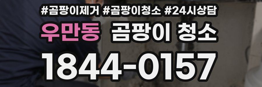 우만동 곰팡이 청소