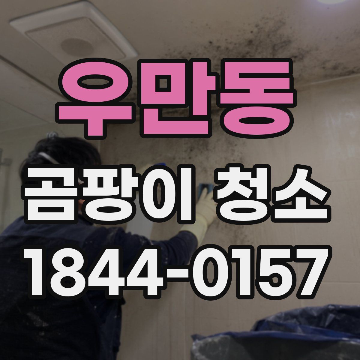 우만동 곰팡이 청소