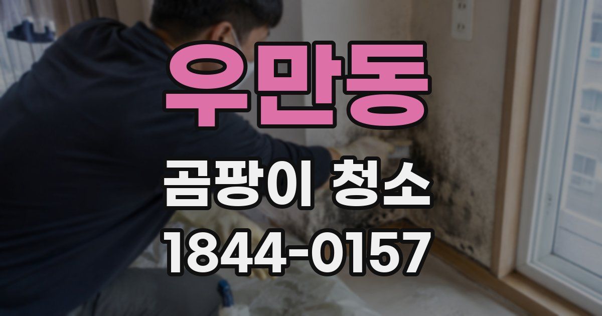 우만동 곰팡이 청소