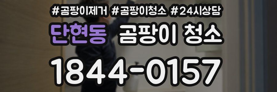 단현동 곰팡이 청소