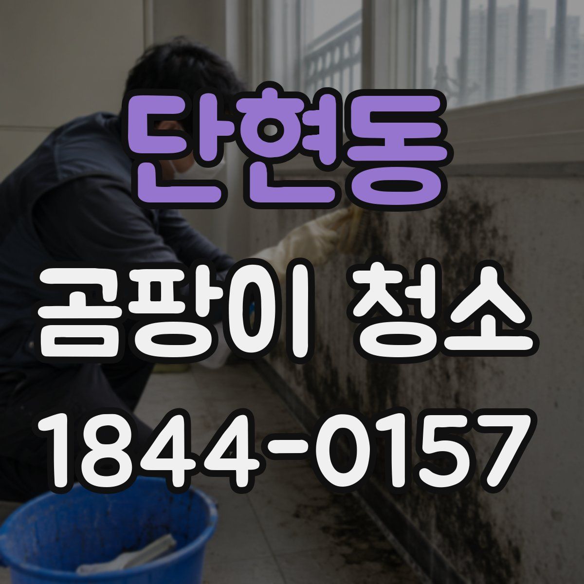 단현동 곰팡이 청소