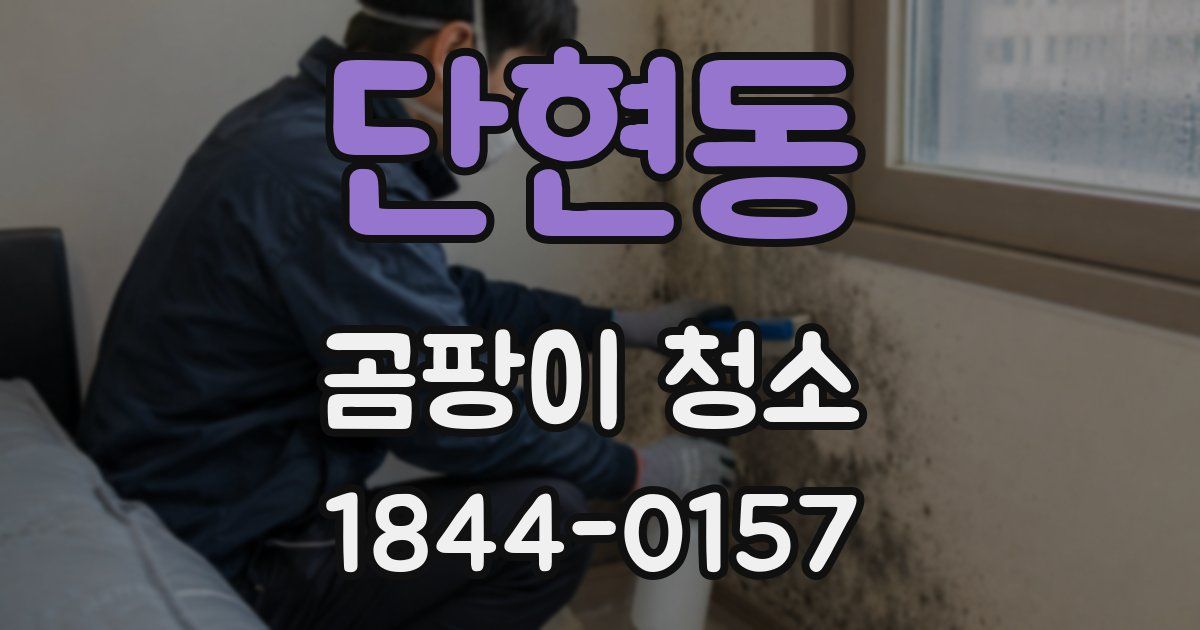 단현동 곰팡이 청소