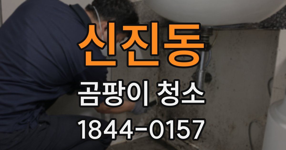 신진동 곰팡이 청소