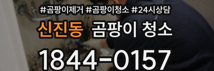 신진동 곰팡이 청소
