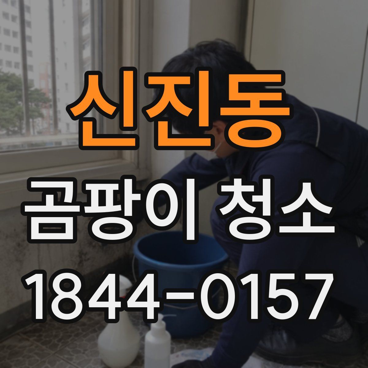 신진동 곰팡이 청소