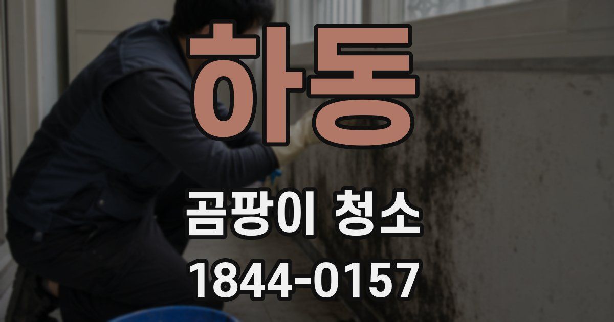 하동 곰팡이 청소