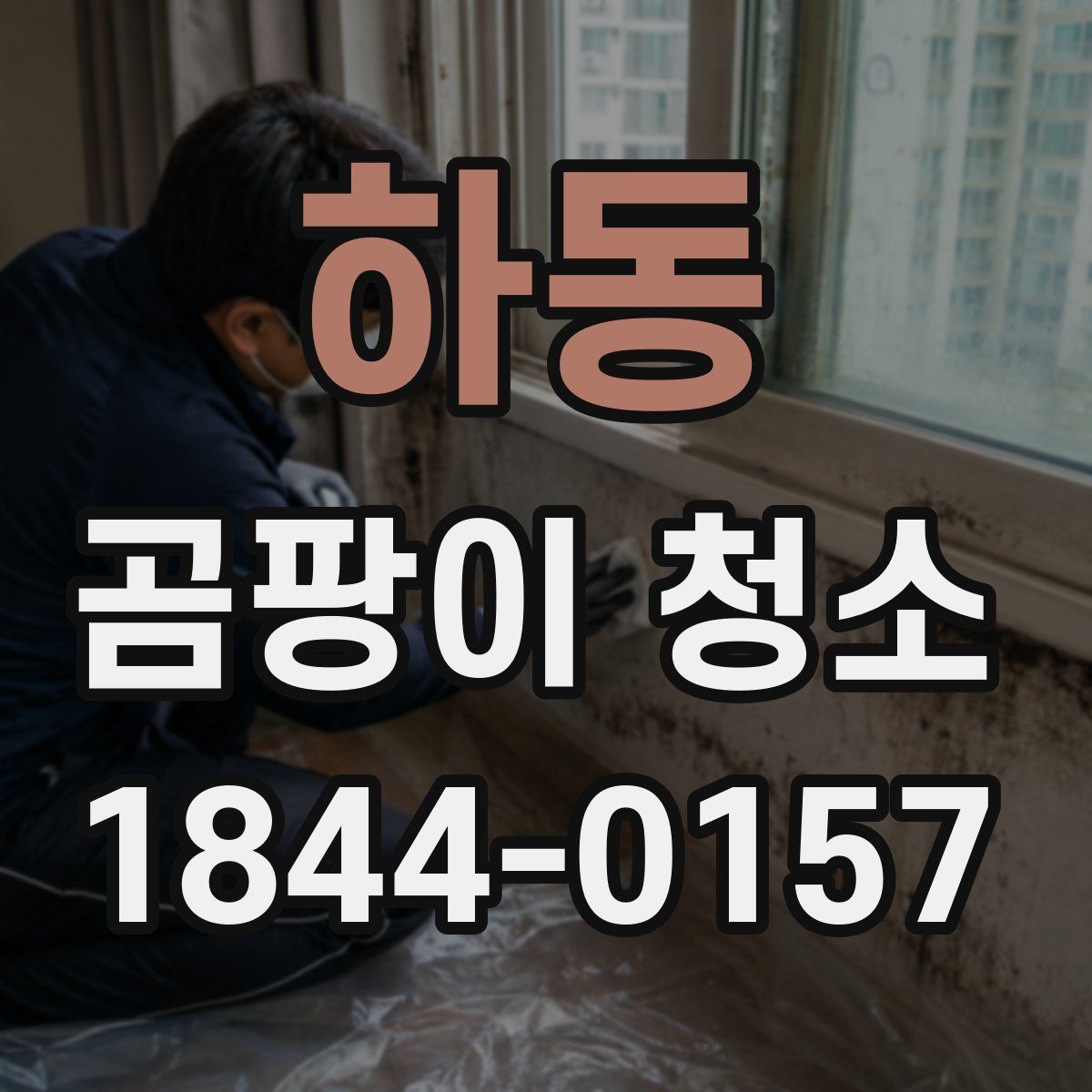 하동 곰팡이 청소