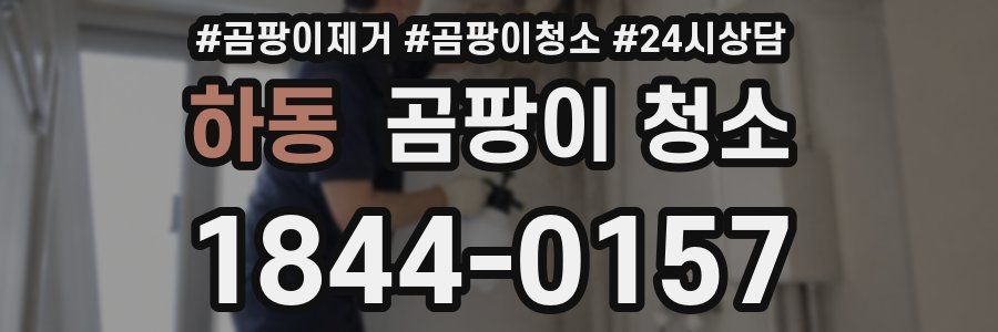 하동 곰팡이 청소