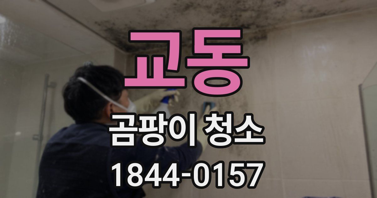 교동 곰팡이 청소