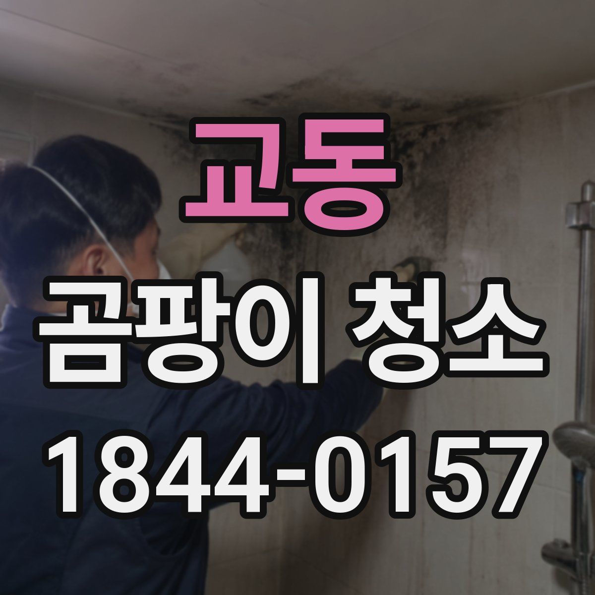 교동 곰팡이 청소