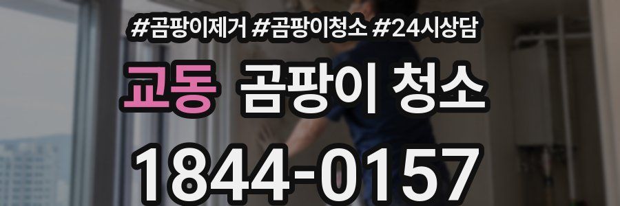 교동 곰팡이 청소