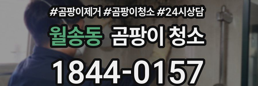 월송동 곰팡이 청소