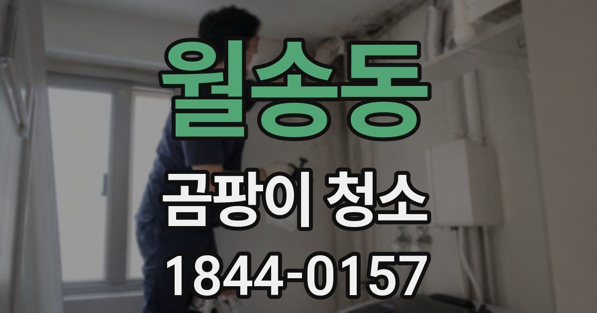 월송동 곰팡이 청소