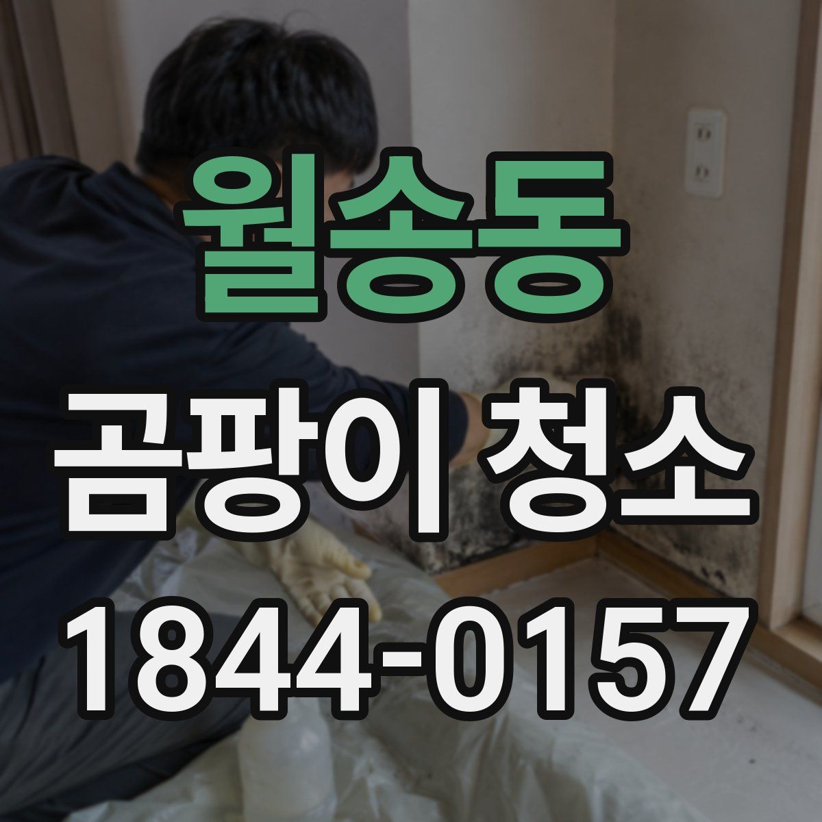 월송동 곰팡이 청소