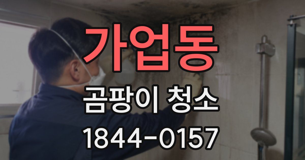 가업동 곰팡이 청소