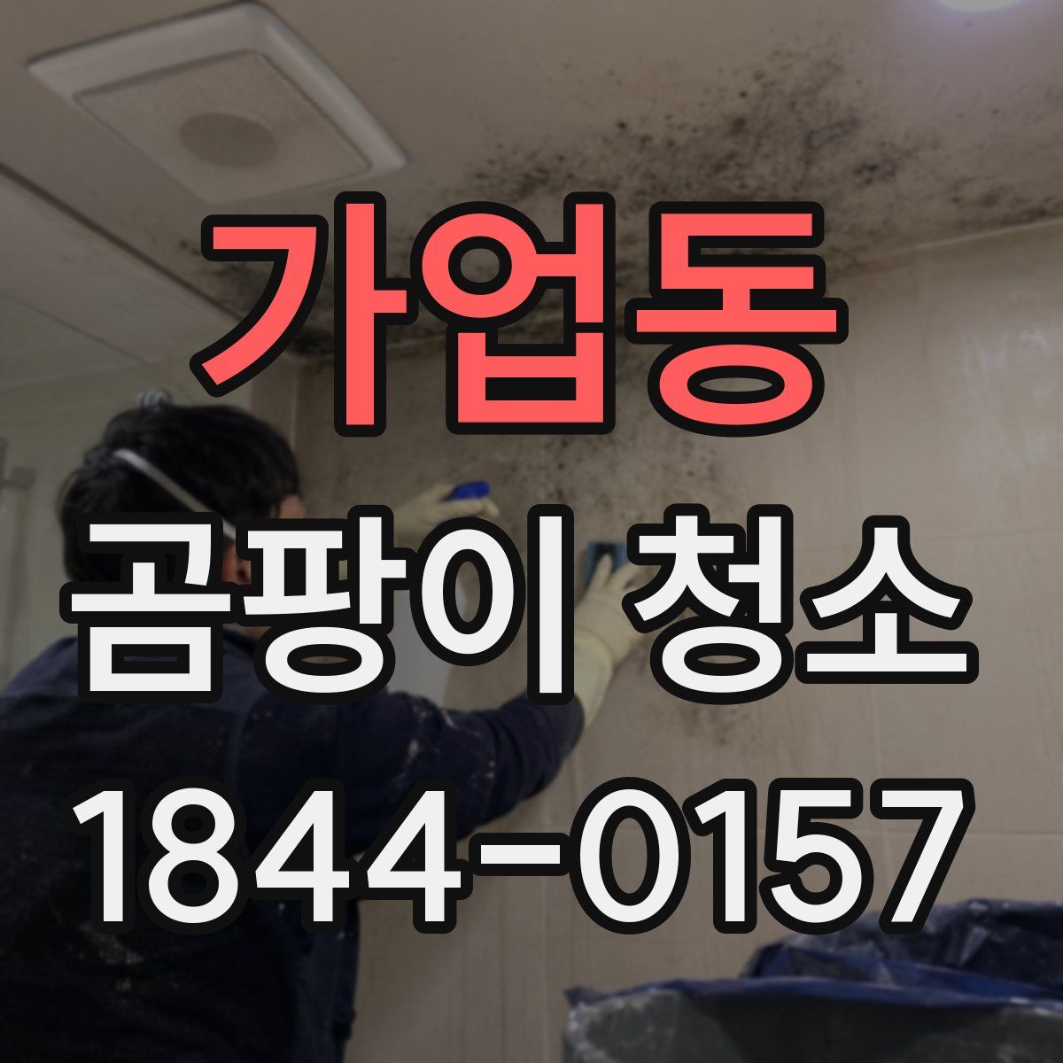 가업동 곰팡이 청소