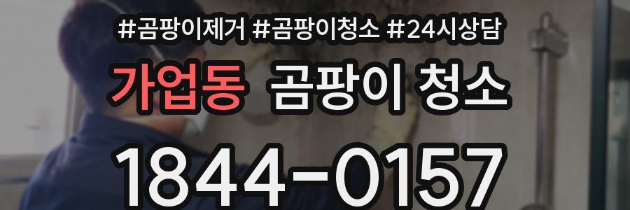 가업동 곰팡이 청소