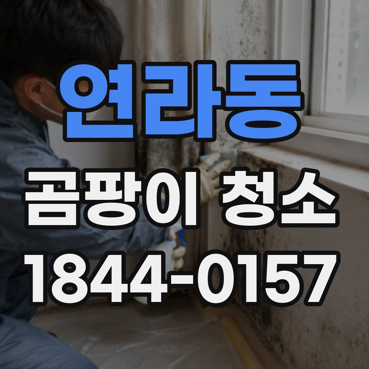 연라동 곰팡이 청소