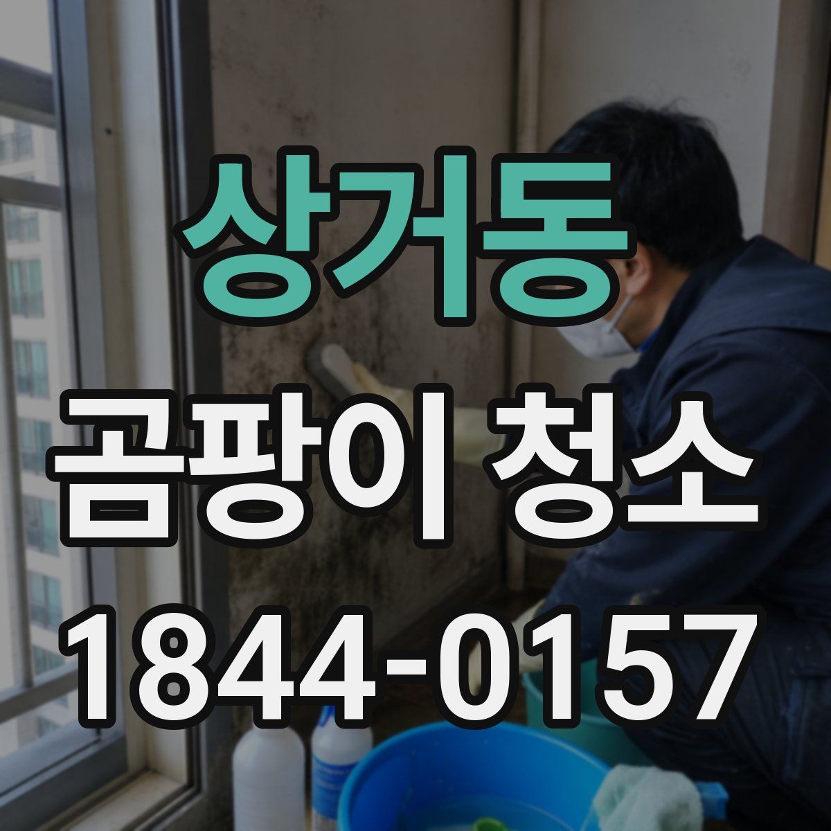 상거동 곰팡이 청소