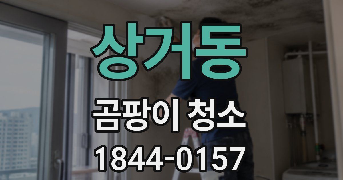 상거동 곰팡이 청소