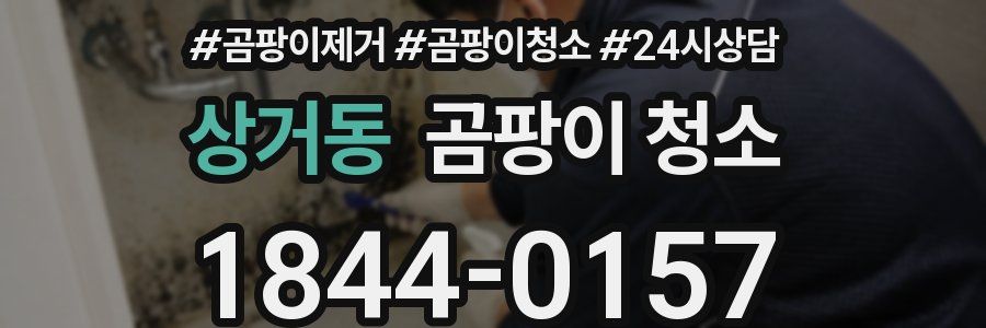 상거동 곰팡이 청소