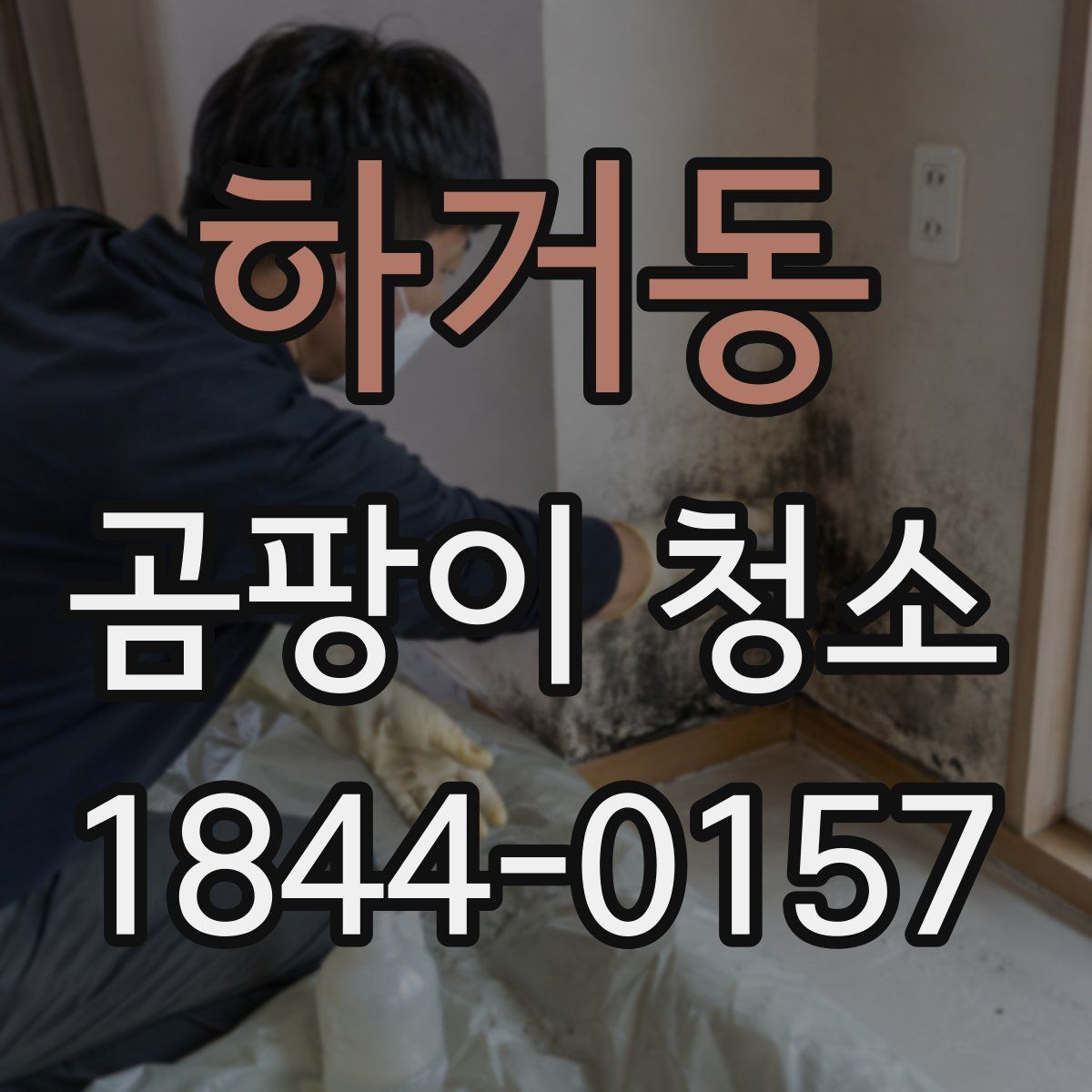 하거동 곰팡이 청소