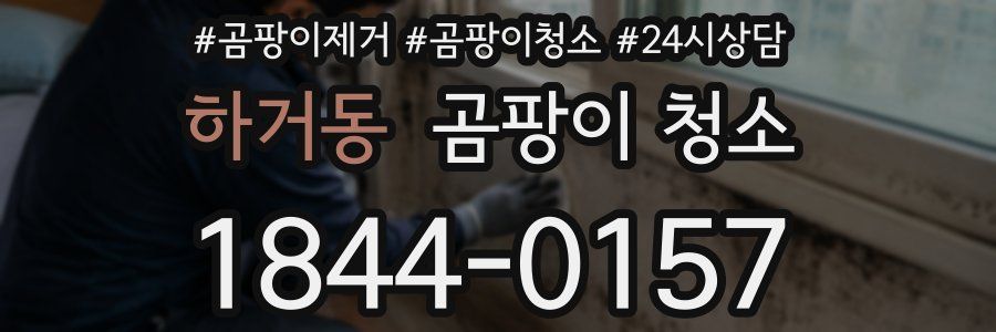 하거동 곰팡이 청소