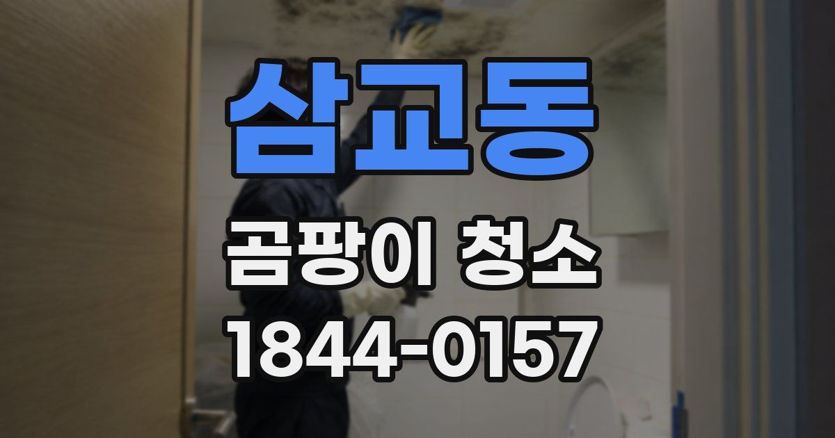 삼교동 곰팡이 청소
