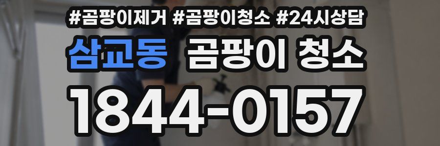 삼교동 곰팡이 청소