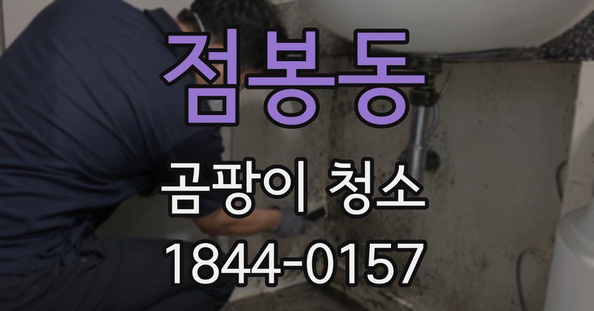점봉동 곰팡이 청소