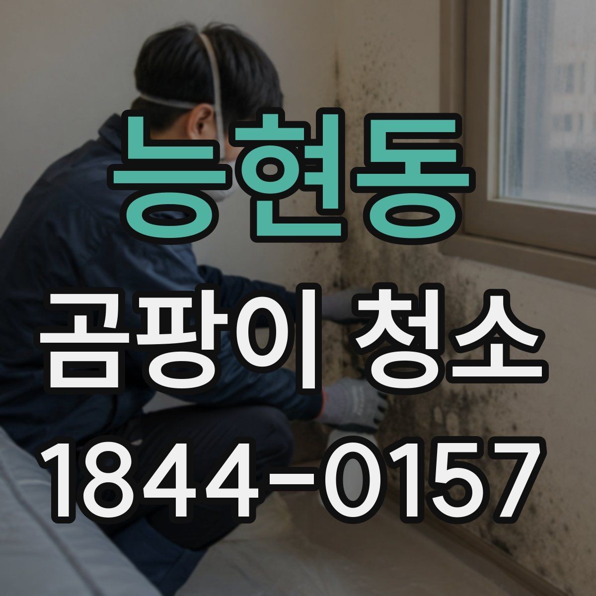 능현동 곰팡이 청소 세제 고를 때 소재 손상 막는 기준