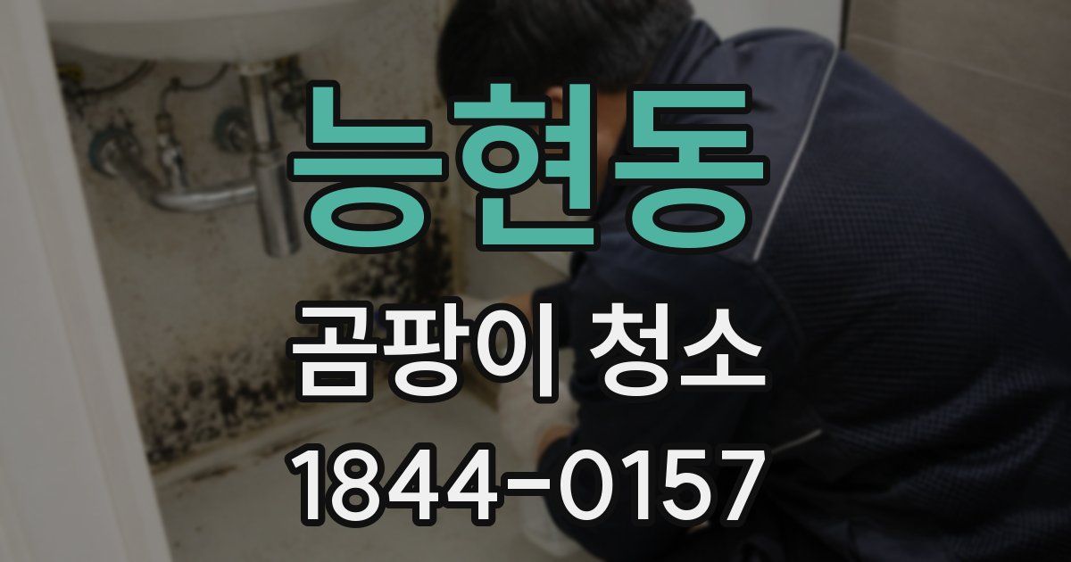능현동 곰팡이 청소