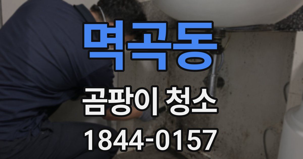 멱곡동 곰팡이 청소