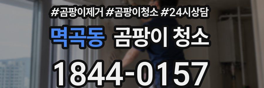 멱곡동 곰팡이 청소