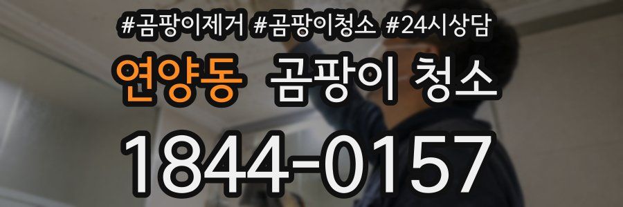 연양동 곰팡이 청소
