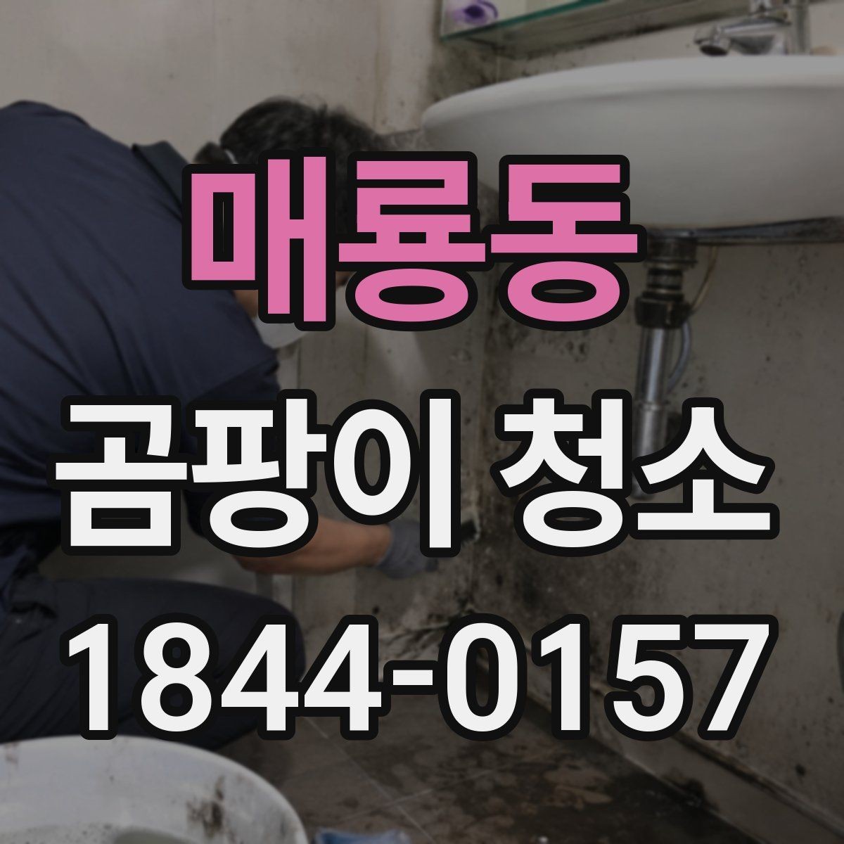 매룡동 곰팡이 청소 재도장 전에 벽면과 도장면을 살피는 법