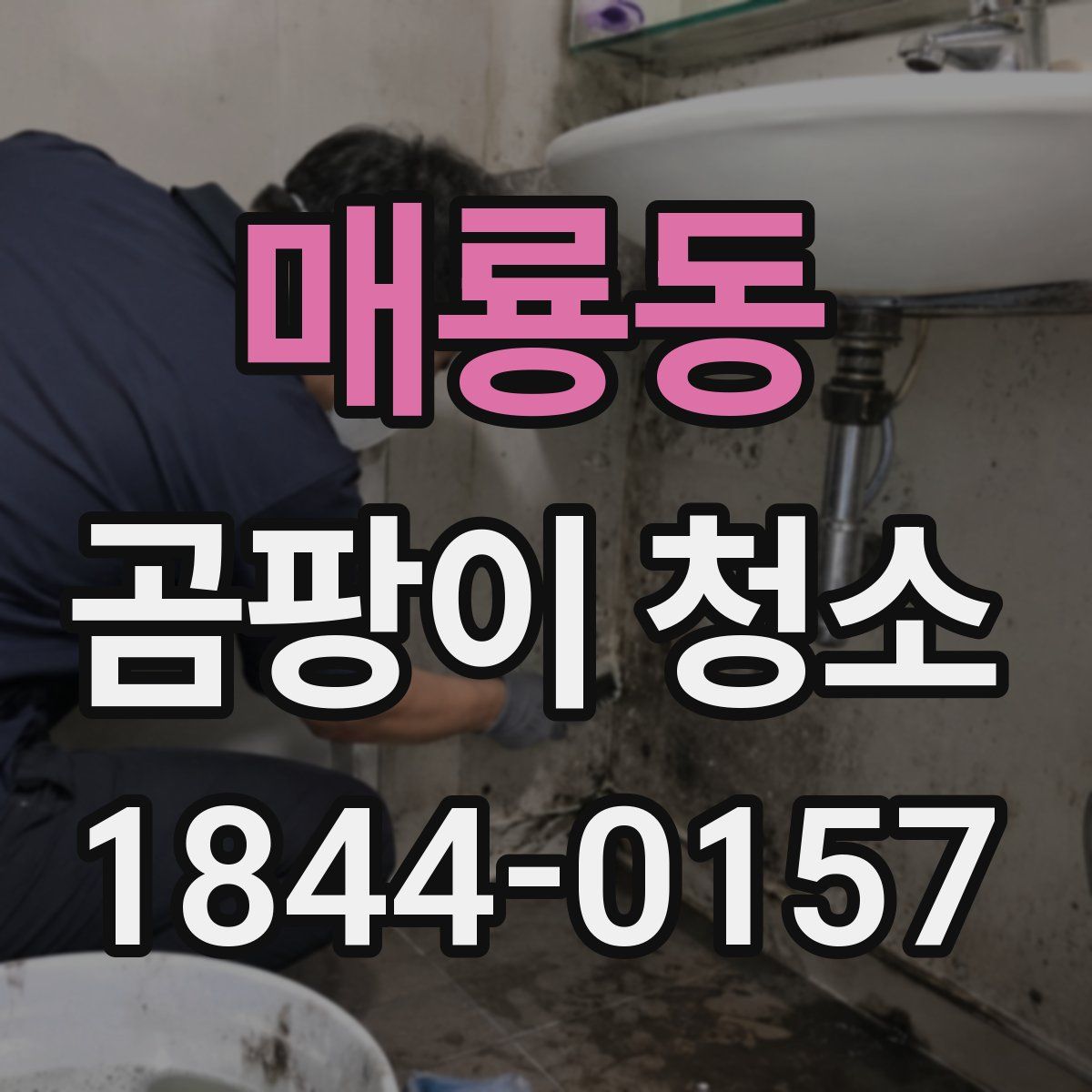 매룡동 곰팡이 청소