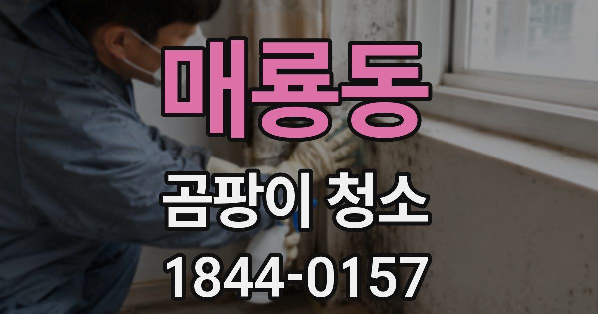 매룡동 곰팡이 청소