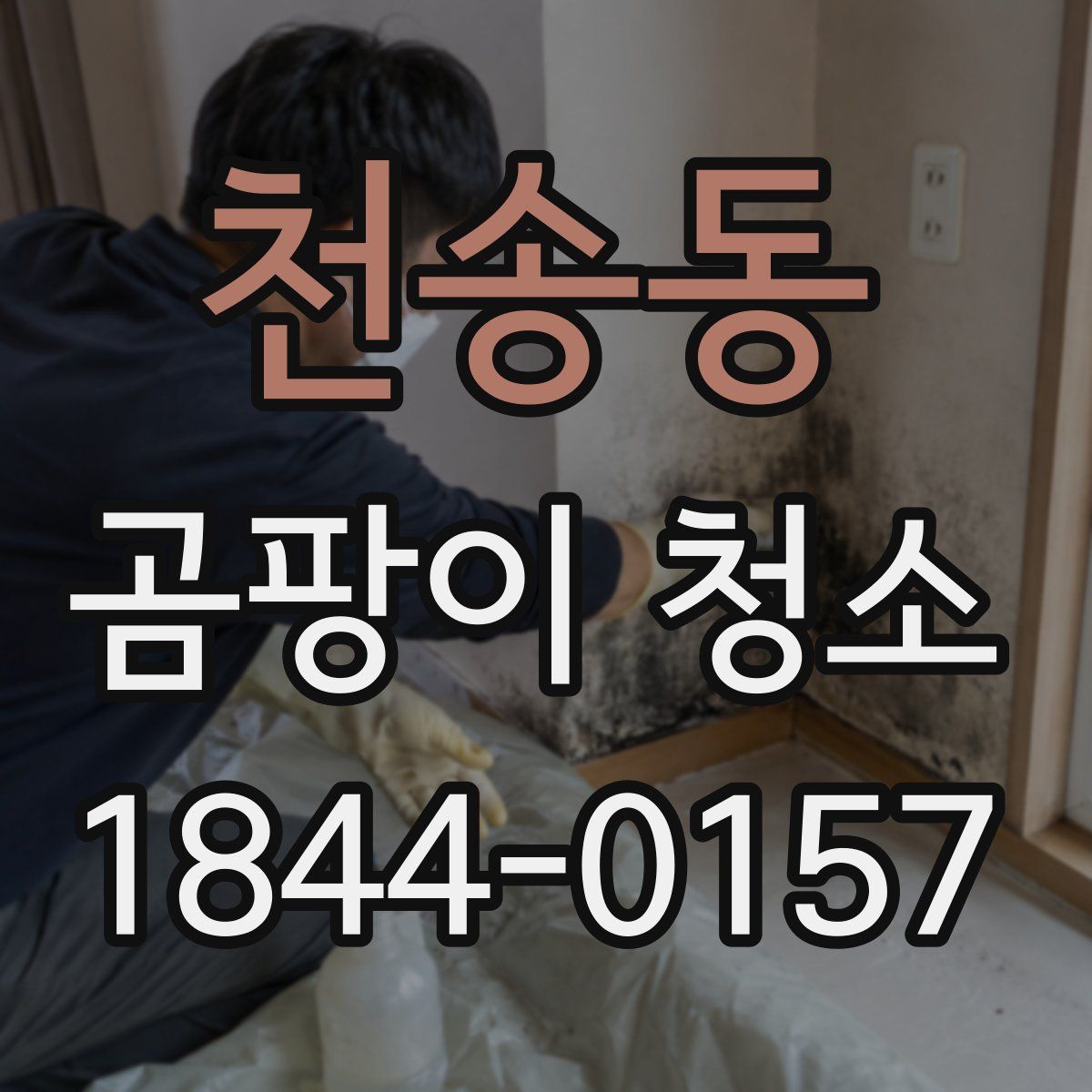 천송동 곰팡이 청소