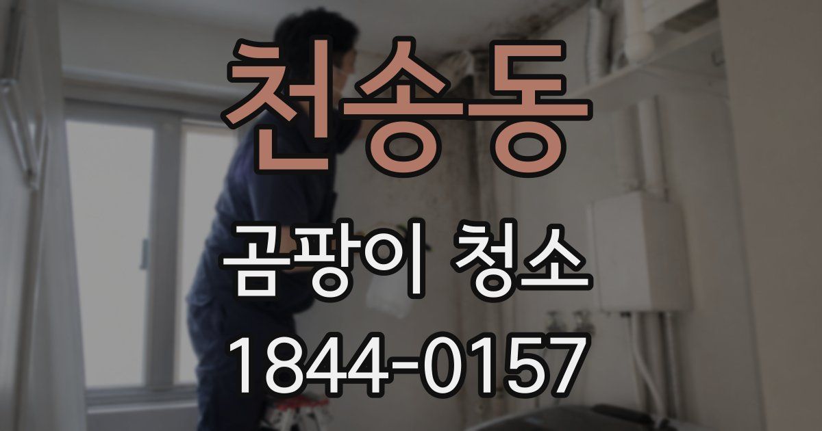 천송동 곰팡이 청소