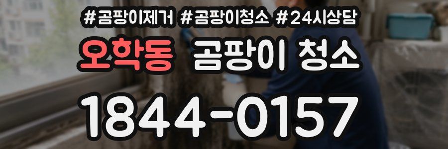 오학동 곰팡이 청소