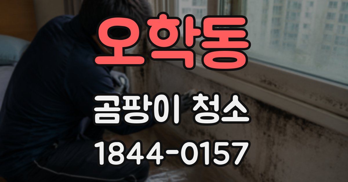 오학동 곰팡이 청소