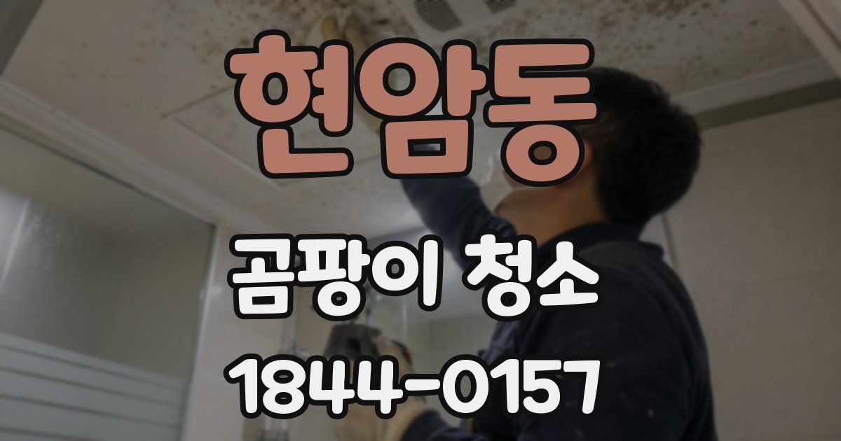 현암동 곰팡이 청소