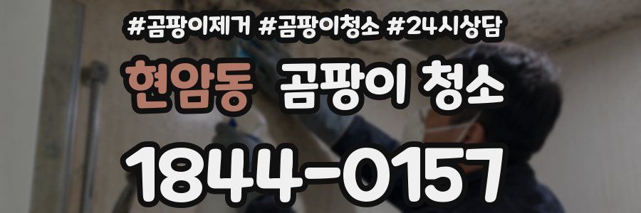 현암동 곰팡이 청소
