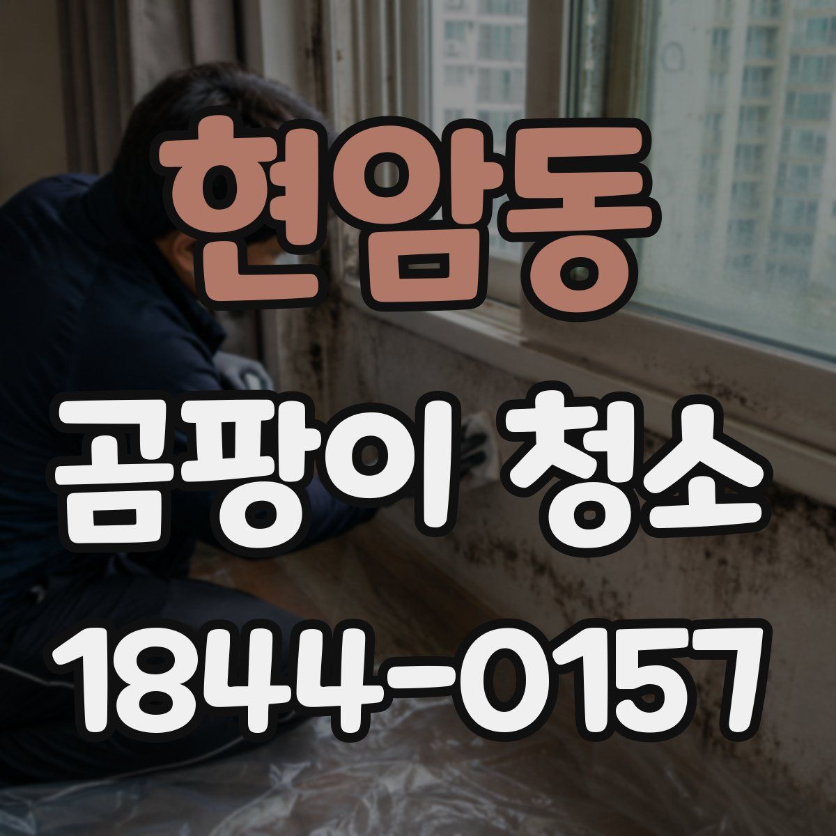 현암동 곰팡이 청소
