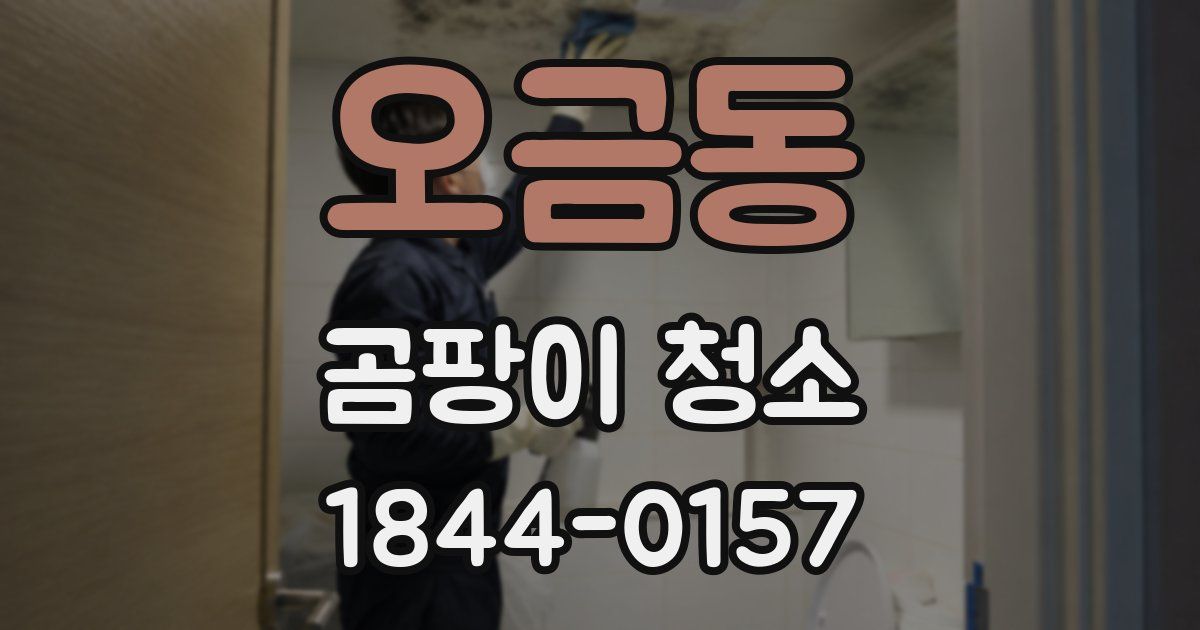 오금동 곰팡이 청소