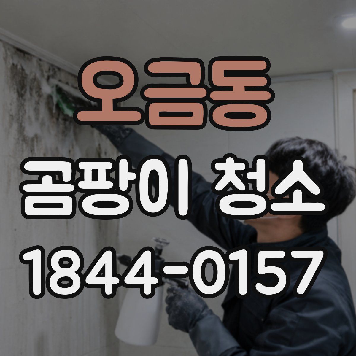 오금동 곰팡이 청소