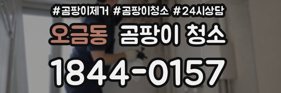 오금동 곰팡이 청소